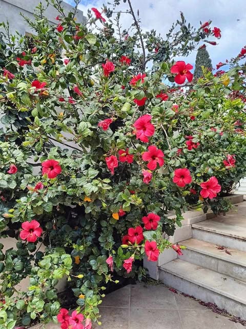 Ghar El Melh Ghar El Melh Vente Maisons Magnifique villa a ghar el melh