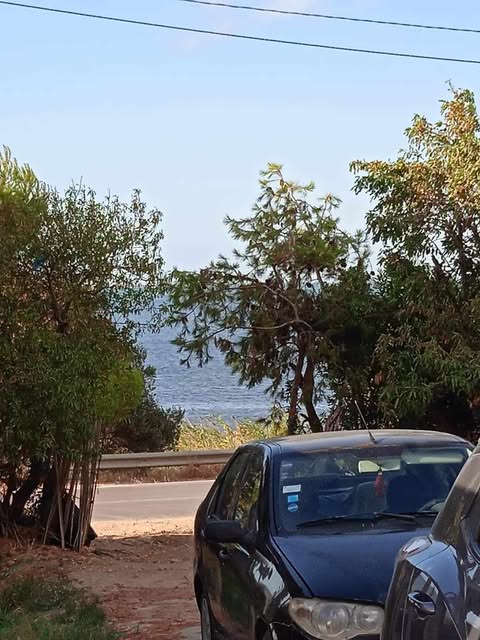 Ghar El Melh Ghar El Melh Vente Maisons Magnifique villa a ghar el melh
