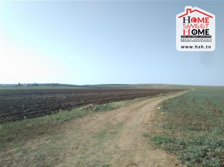 Terrain Terrain agricole