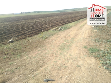 Borj El Amri Borj El Amri Terrain Terrain agricole Terrain agricole zoe  messadina borj amri