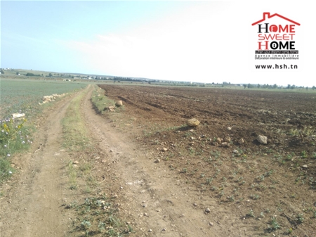 Borj El Amri Borj El Amri Terrain Terrain agricole Terrain agricole zoe  messadina borj amri