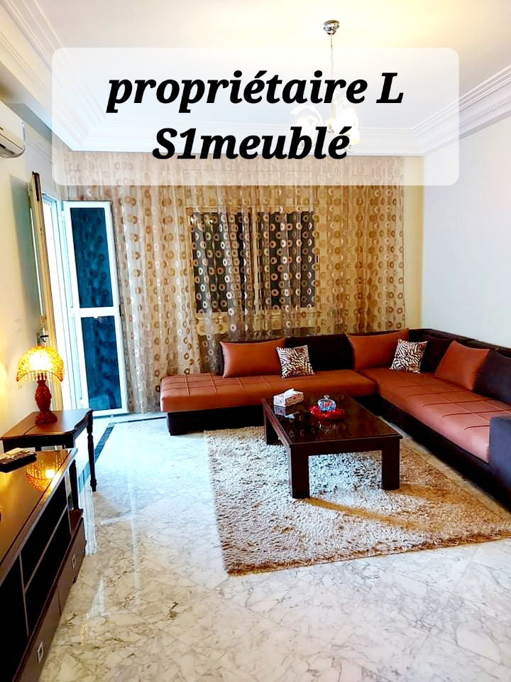 Ariana Ville&nbsp;Cite Ennasr 2&nbsp;Location&nbsp;Appart. 1 pi�ce&nbsp;A l'ann�e pour �tranger s1 meubl� superbe