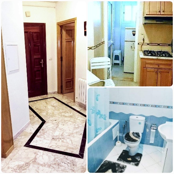 Ariana Ville&nbsp;Cite Ennasr 2&nbsp;Location&nbsp;Appart. 1 pi�ce&nbsp;A l'ann�e pour �tranger s1 meubl� superbe