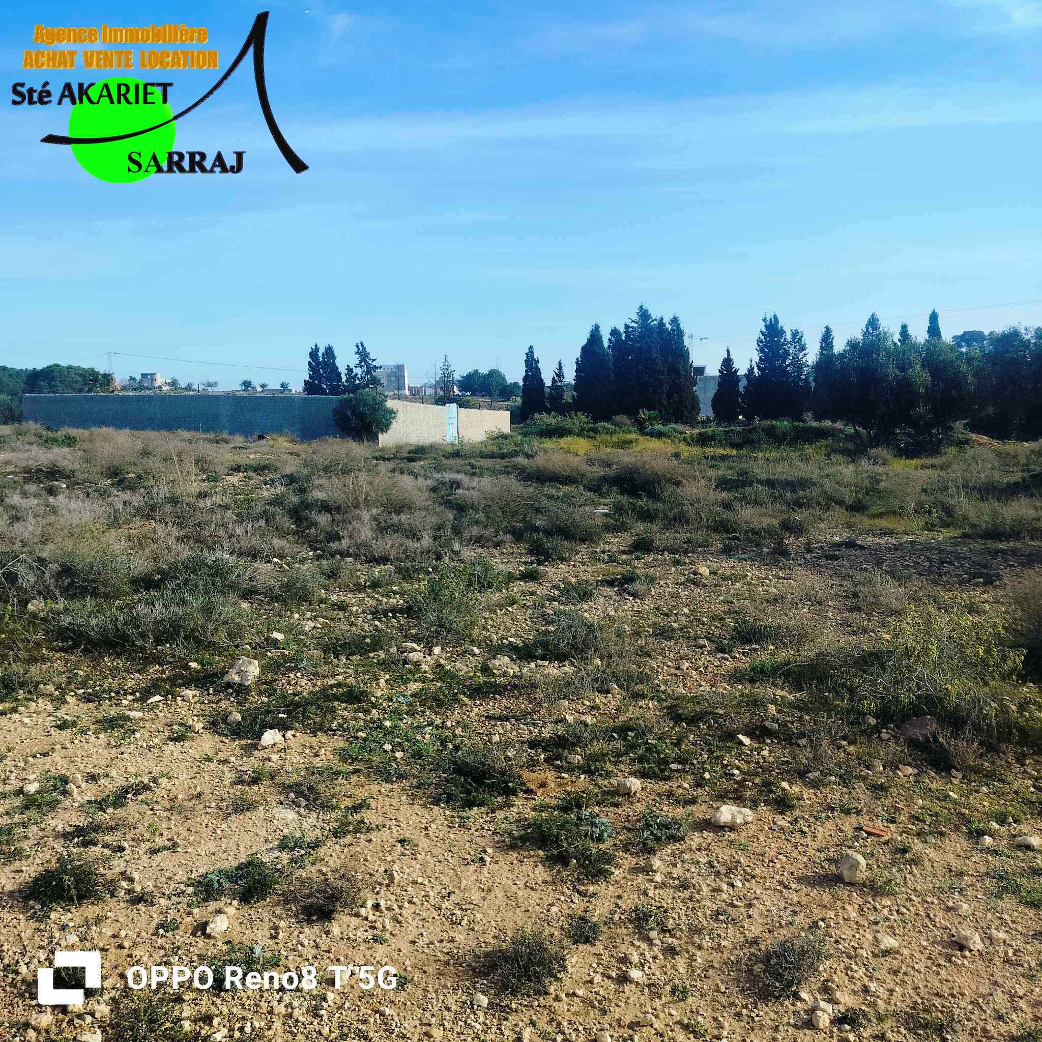 Sahline Sidi Ameur Terrain Terrain nu Deux terrains 488m et 320m  sidi ameur sahline