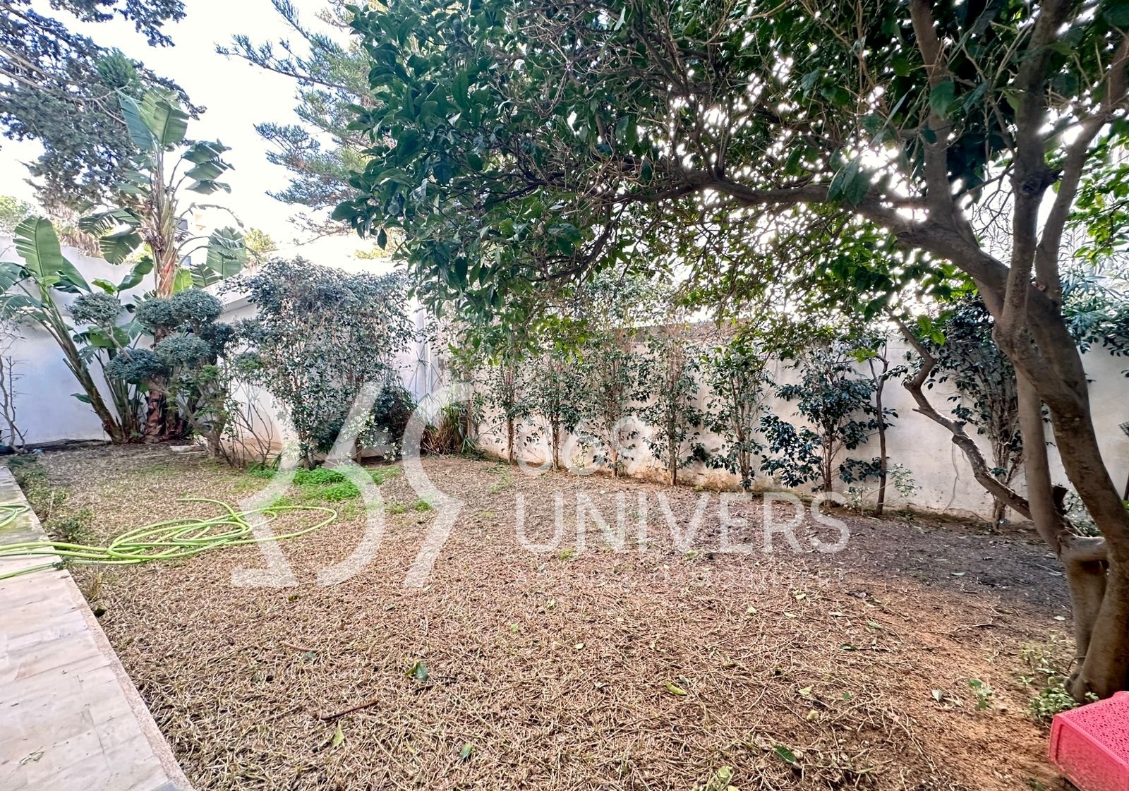 Location Appart. 2 pices