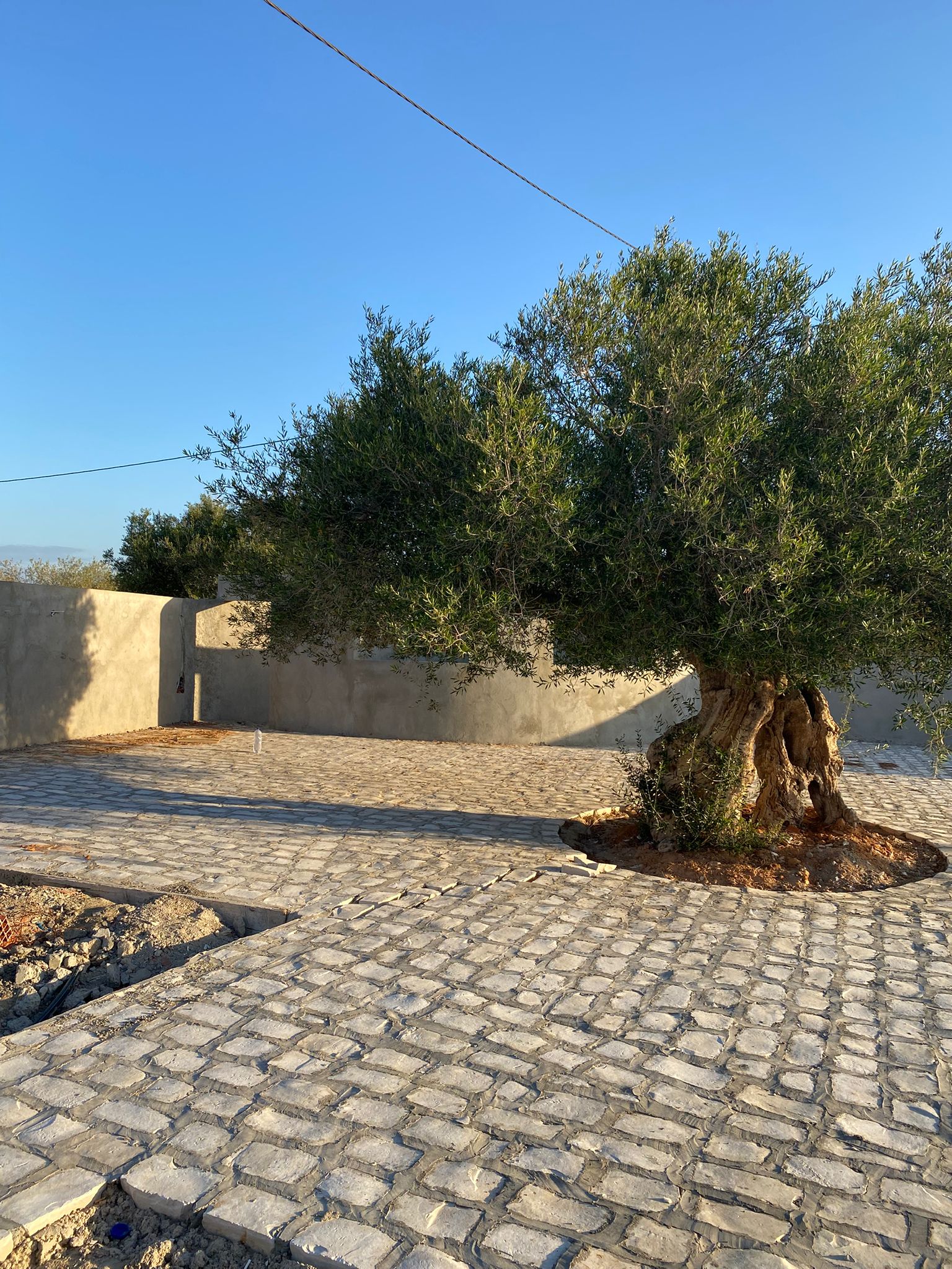 Djerba - Midoun Beni Maaguel Vente Autre Villas et maison d'hotes
