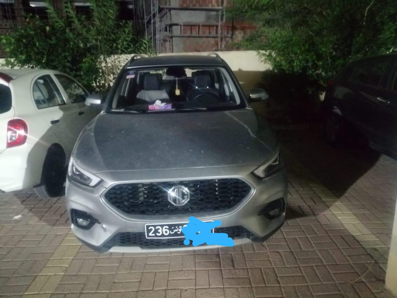 Mg ZS