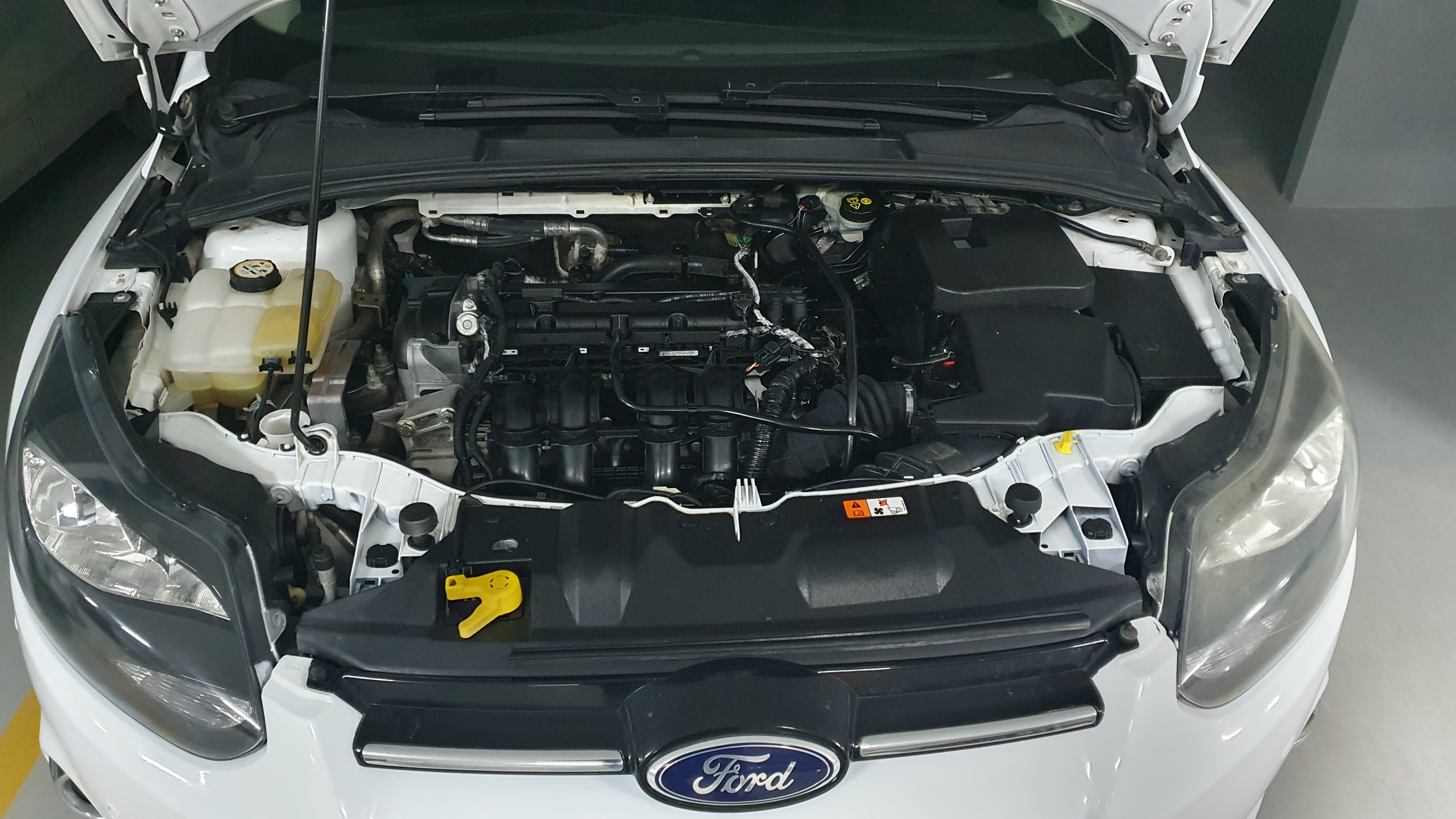 Ford Focus