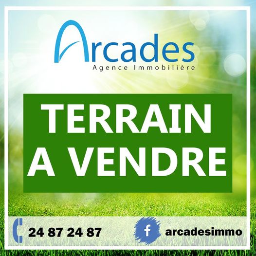 Terrain Terrain nu