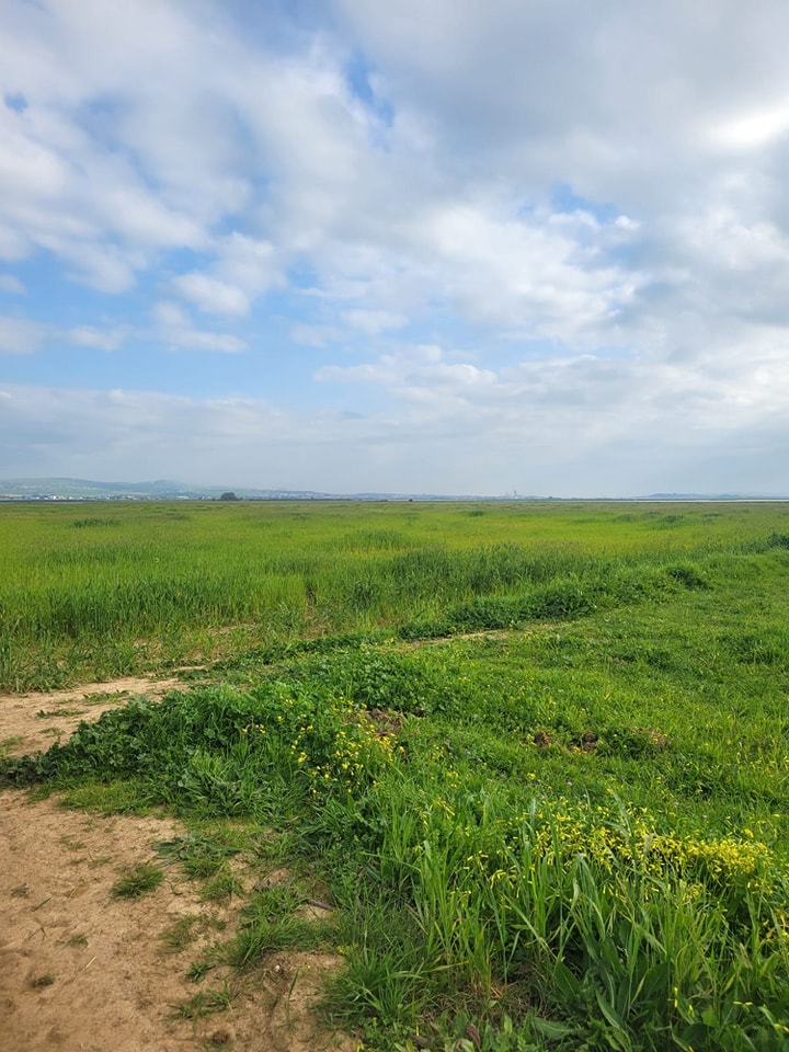 Bizerte Sud Louata Terrain Terrain agricole Terrain 50000m