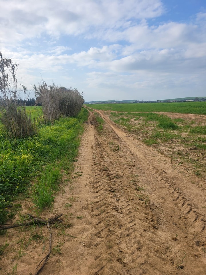 Bizerte Sud Louata Terrain Terrain agricole Terrain 50000m