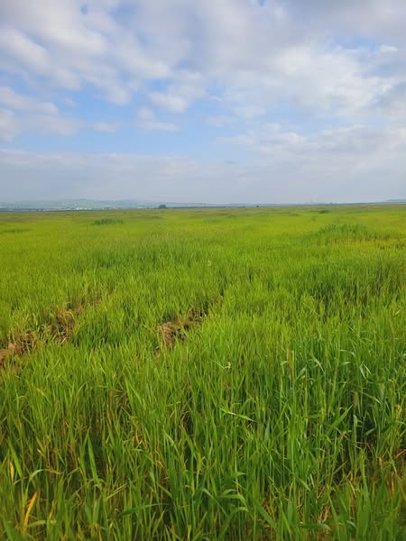 Terrain Terrain agricole