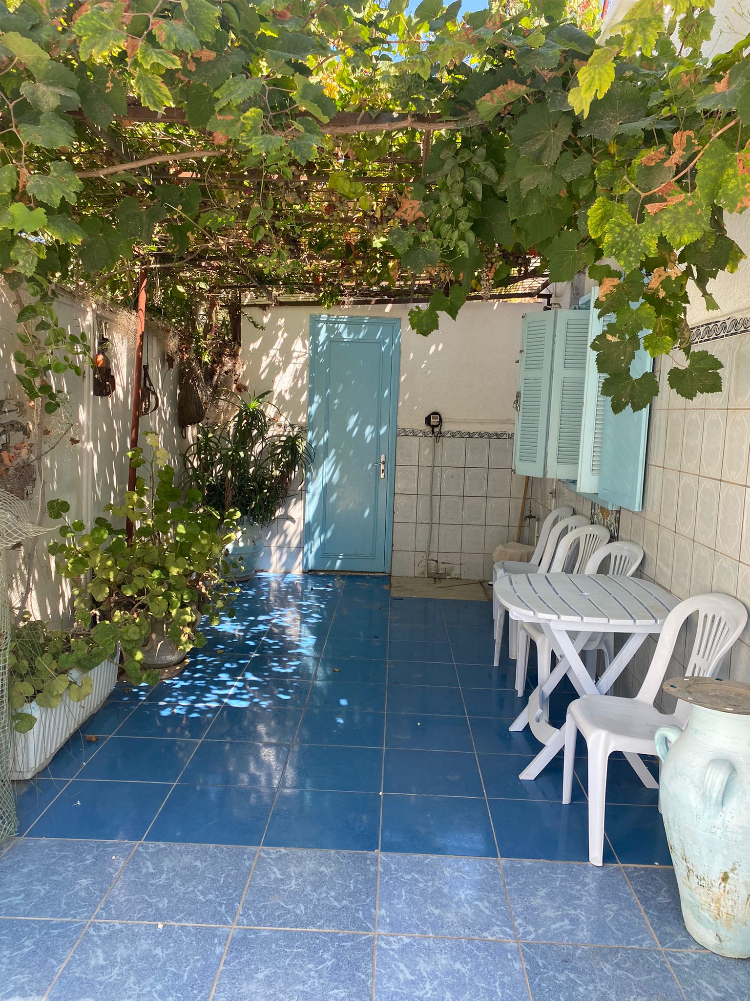 Mahdia Rejiche Location Maisons Maison bord de mer