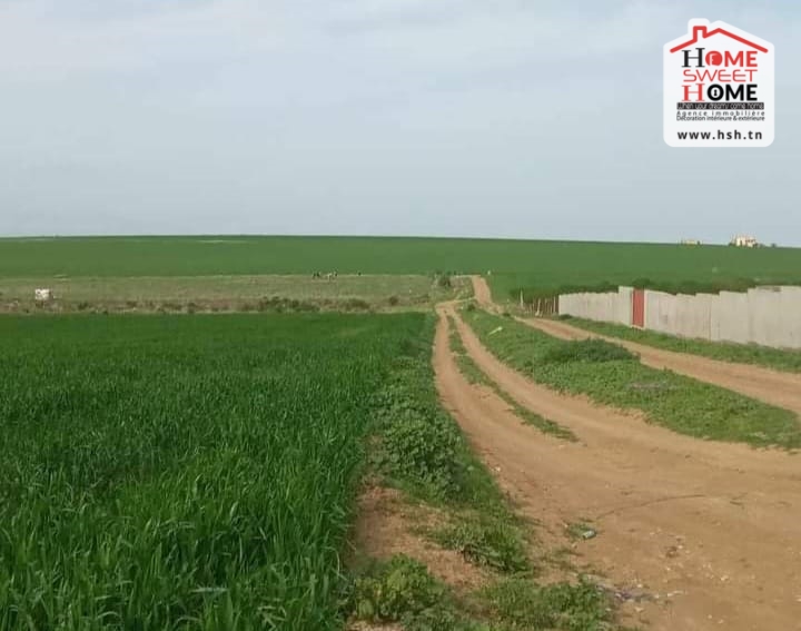 Utique Utique Terrain Terrain agricole Terrain agricole anya  utique