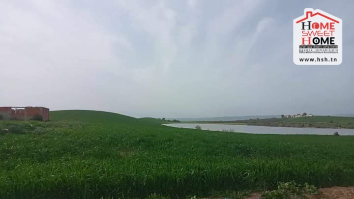 Utique Utique Terrain Terrain agricole Terrain agricole anya  utique