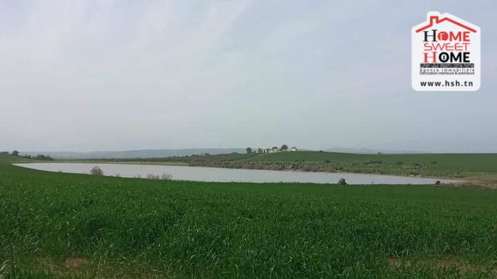 Terrain Terrain agricole