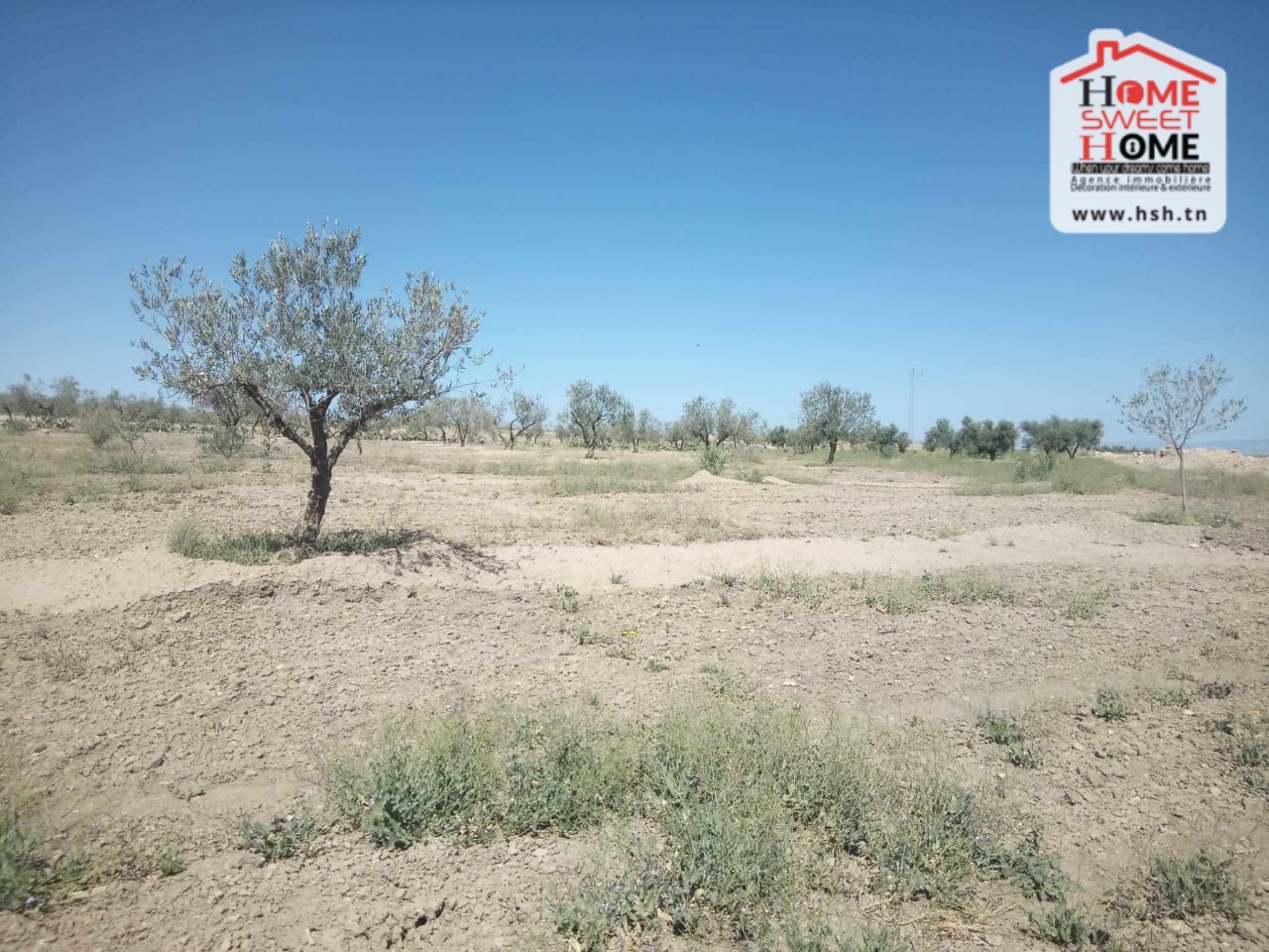 Utique Utique Terrain Terrain agricole Terrain agricole ricky  tejrouine