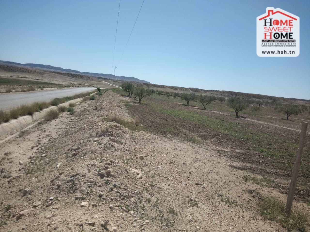 Terrain Terrain agricole