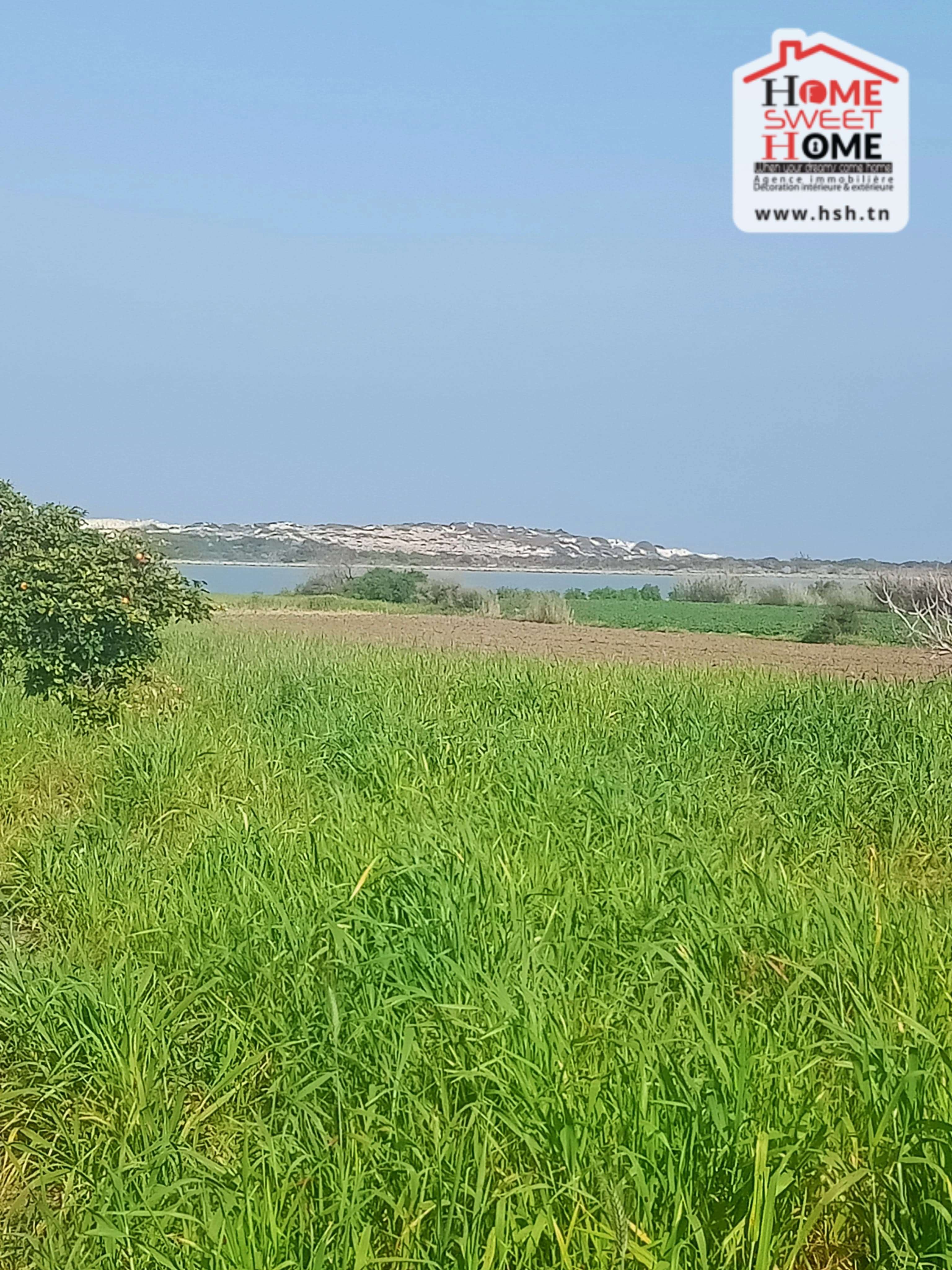 Hammam El Ghezaz&nbsp;Hammam El Ghezaz&nbsp;Terrain&nbsp;Terrain agricole&nbsp;Terrain agricole toris � hammem ghzez