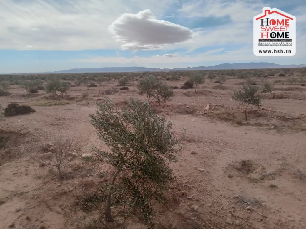 Terrain Terrain nu