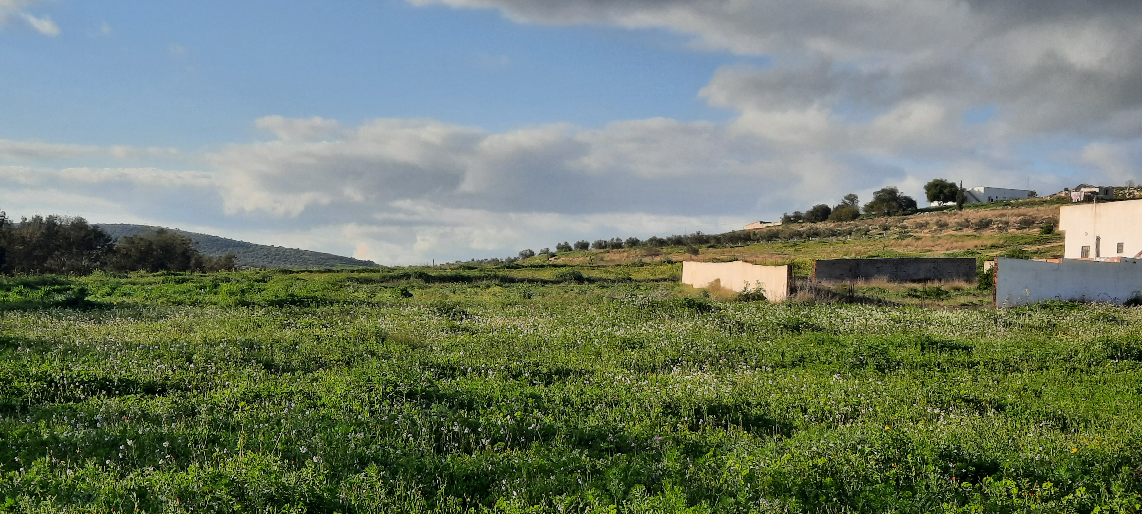 Terrain Terrain nu