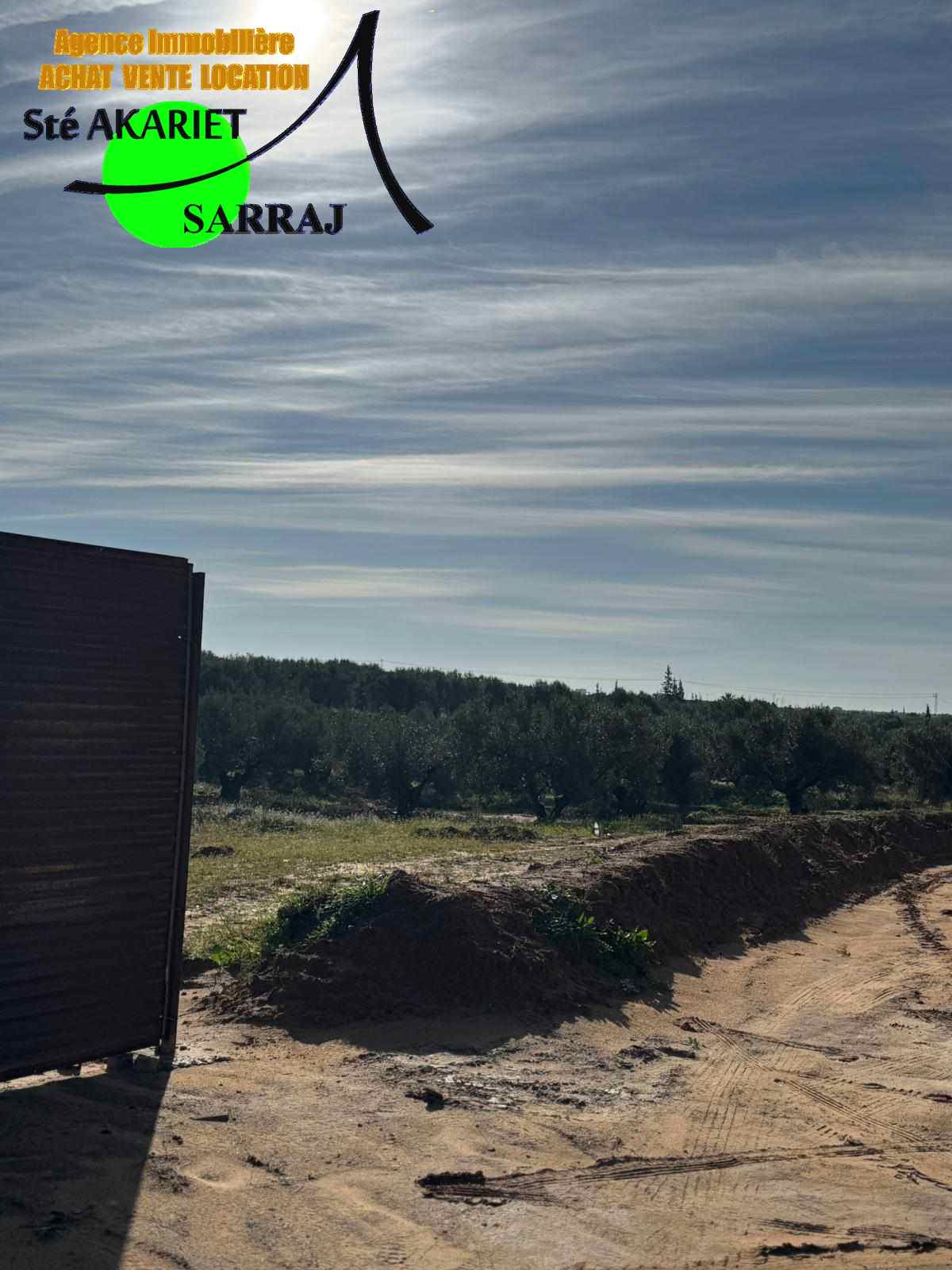 Sidi Bou Ali Sidi Bou Ali Terrain Terrain agricole Terrain 7545m prs de usine de lait  sidi bouali