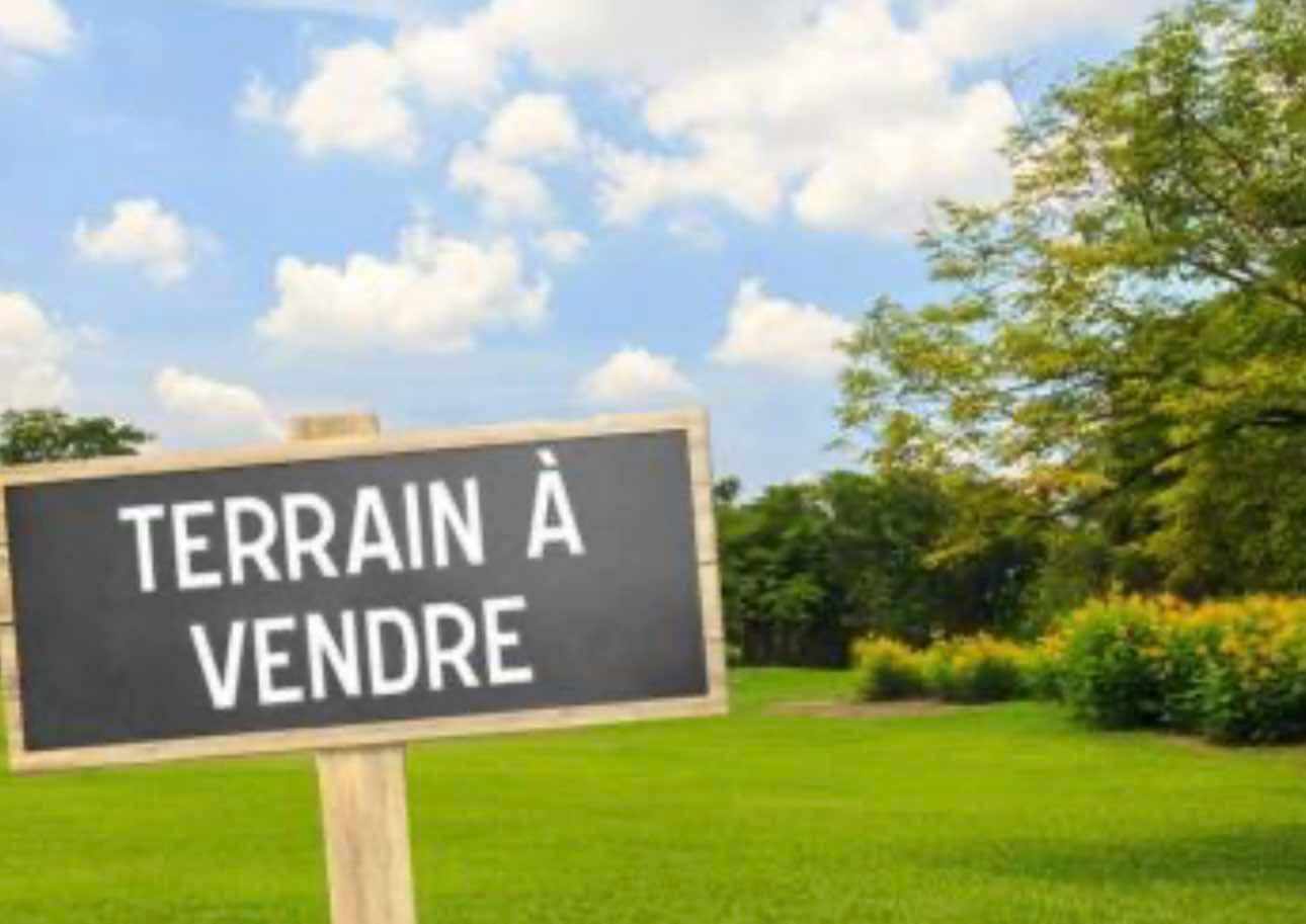 Terrain Terrain nu