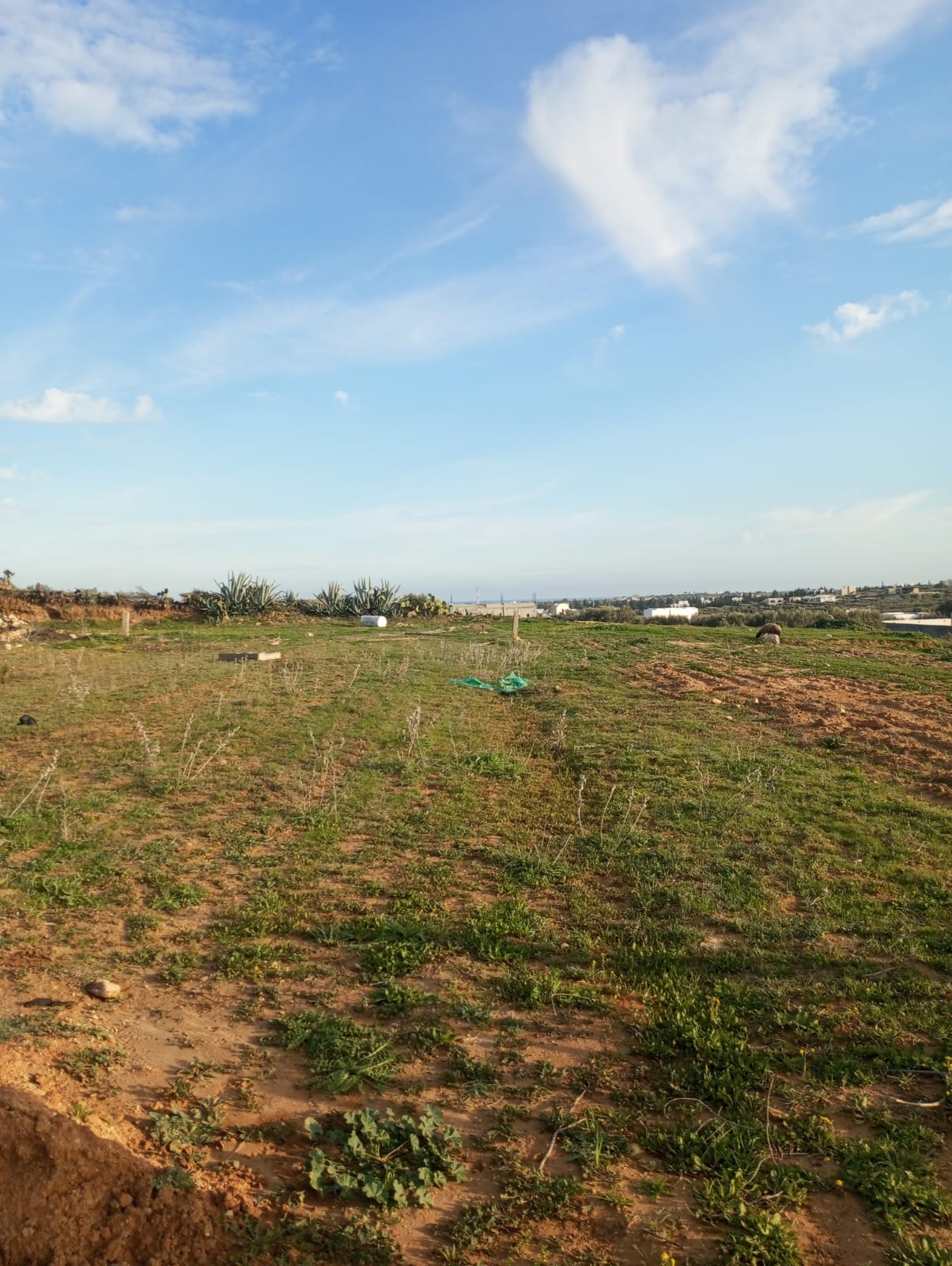 Hammamet&nbsp;Hammamet&nbsp;Terrain&nbsp;Terrain nu&nbsp;Av terrain 1000m � monchar hammamet sud