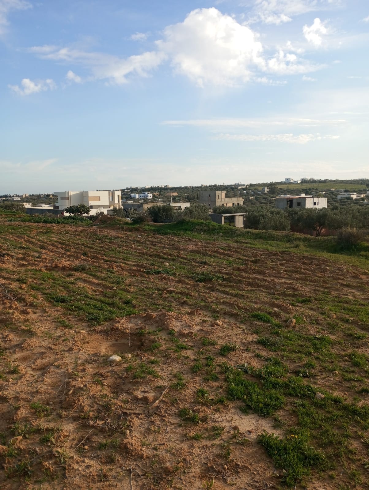 Terrain&nbsp;Terrain nu