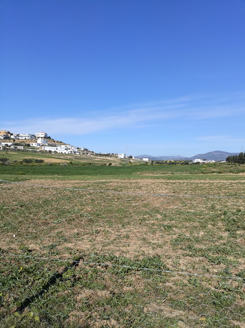 Hammamet&nbsp;Hammamet&nbsp;Terrain&nbsp;Terrain nu&nbsp;Av terrain 1680m � monchar