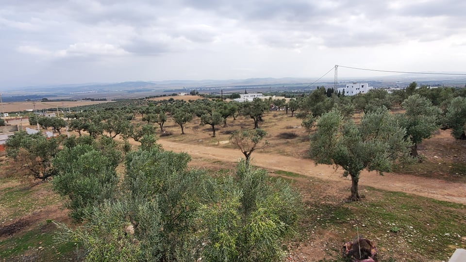 Mohamadia&nbsp;Cite Cebbalet Chikh&nbsp;Vente&nbsp;Maisons&nbsp;Luxueuse villa de compagne