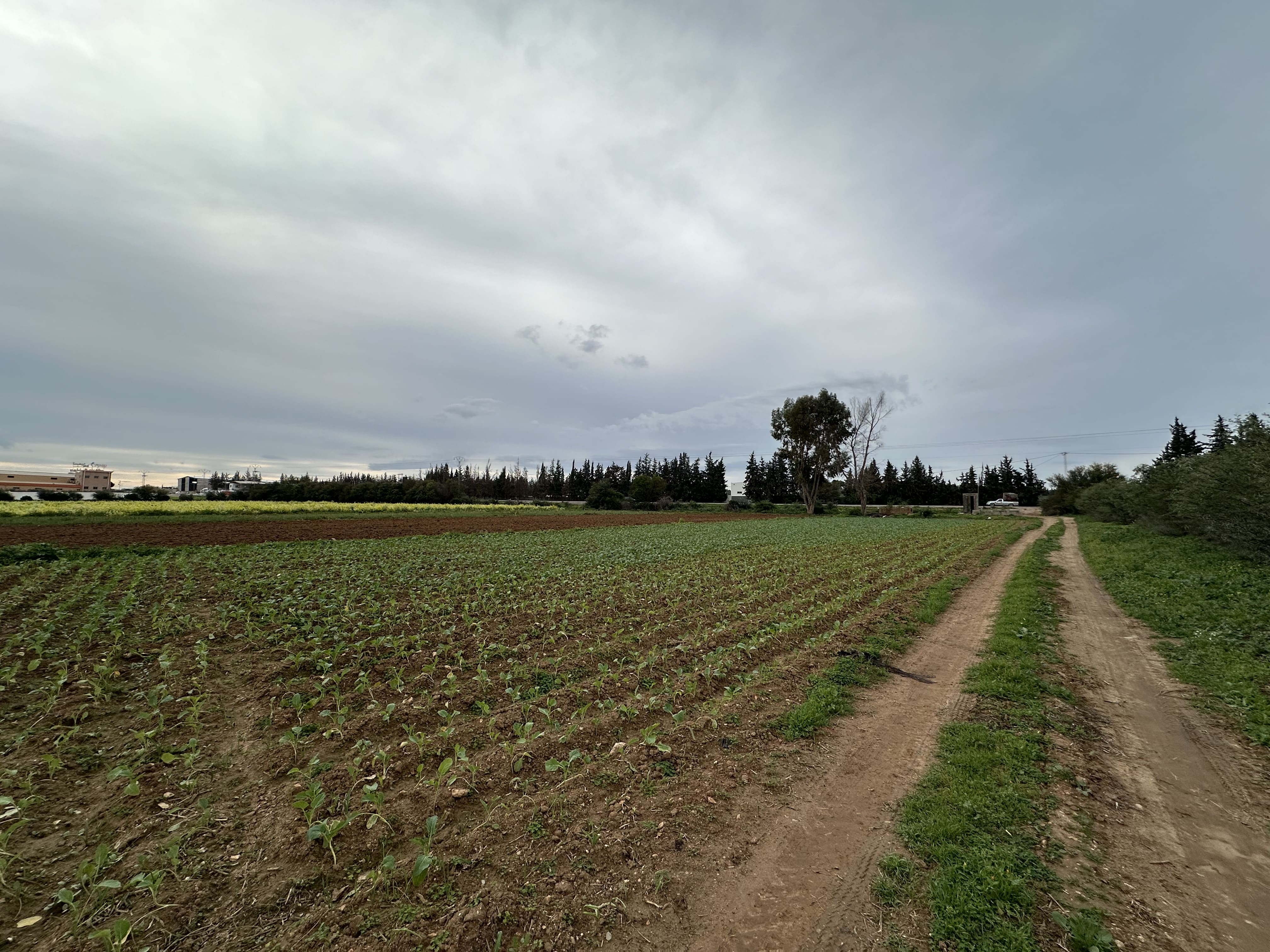 Terrain Terrain agricole