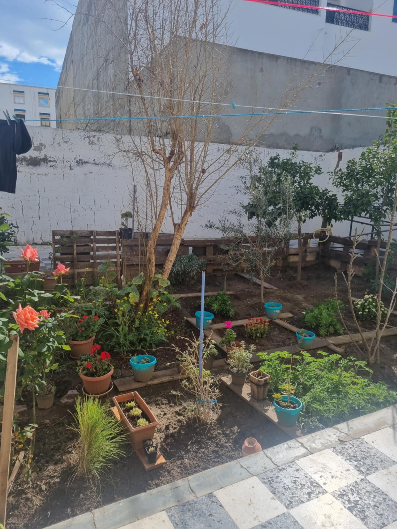 Vente Maisons