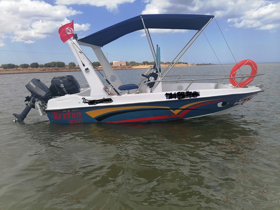 Bateaux  moteurs Vedette