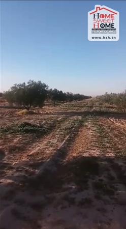 Terrain Terrain agricole
