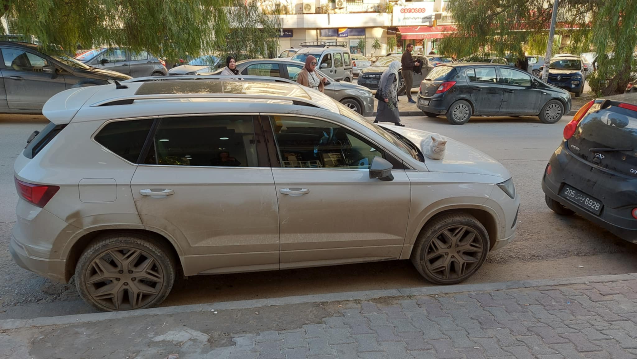Seat Altea