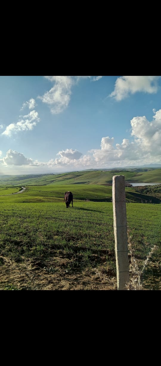 Terrain Terrain agricole