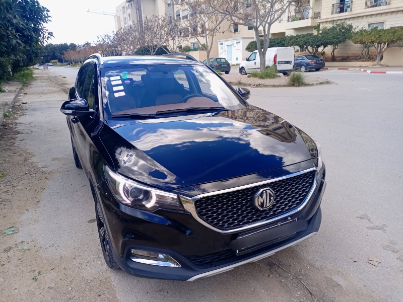 Mg ZS