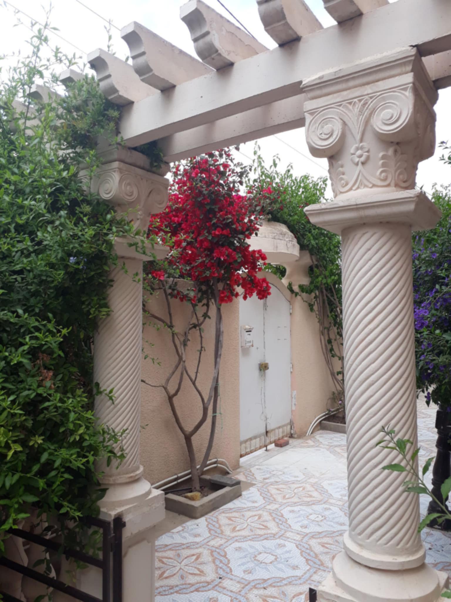 Location Maisons
