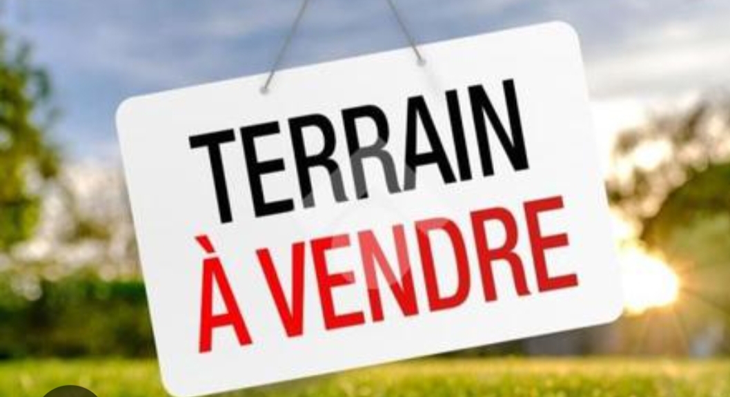 Terrain Terrain nu