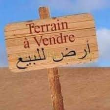 Terrain Terrain agricole