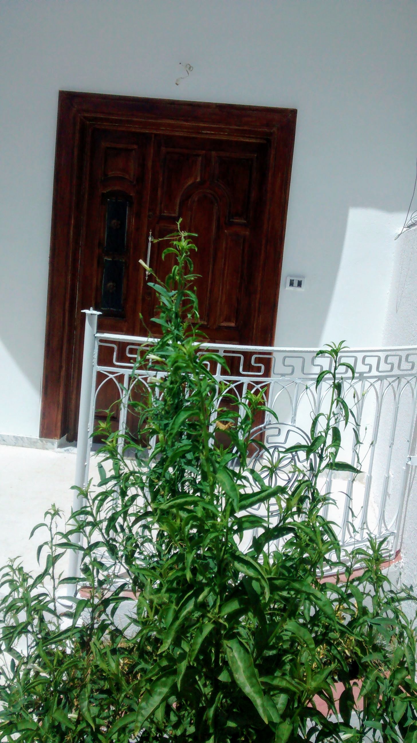 Mnihla Jardins d'el Menzah Location Maisons Rdc 3ch 2sb proche centre comecl jardin menzah2