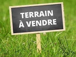Terrain Terrain nu