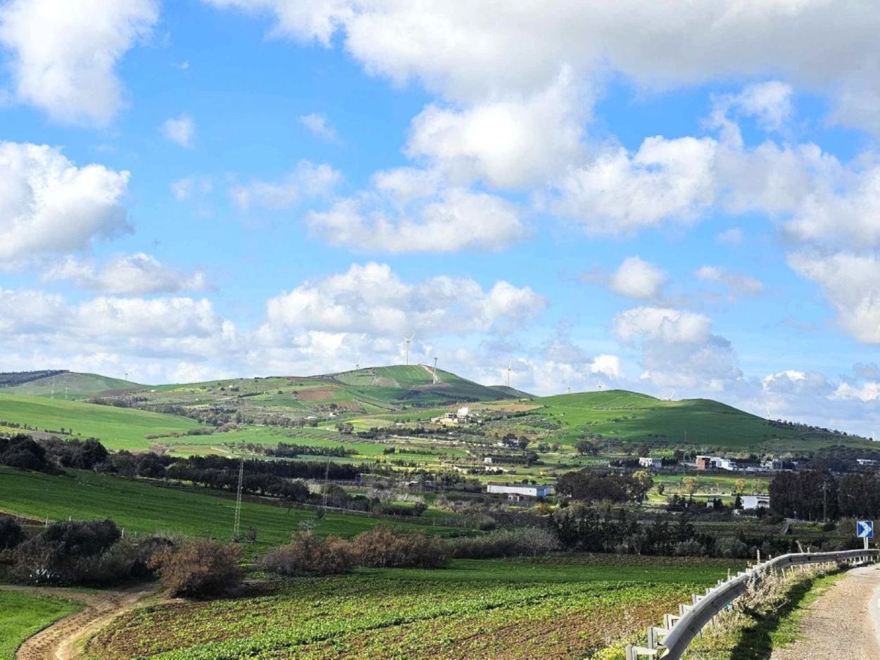 Terrain&nbsp;Terrain agricole