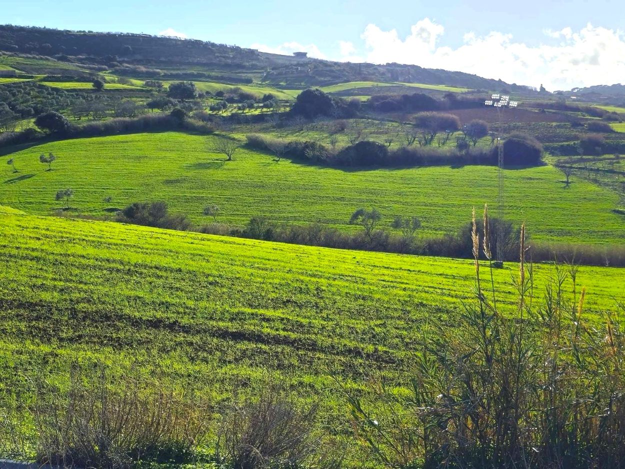 Ras Jebel&nbsp;Rafraf&nbsp;Terrain&nbsp;Terrain agricole&nbsp;Terrain 1 hect a rafraf