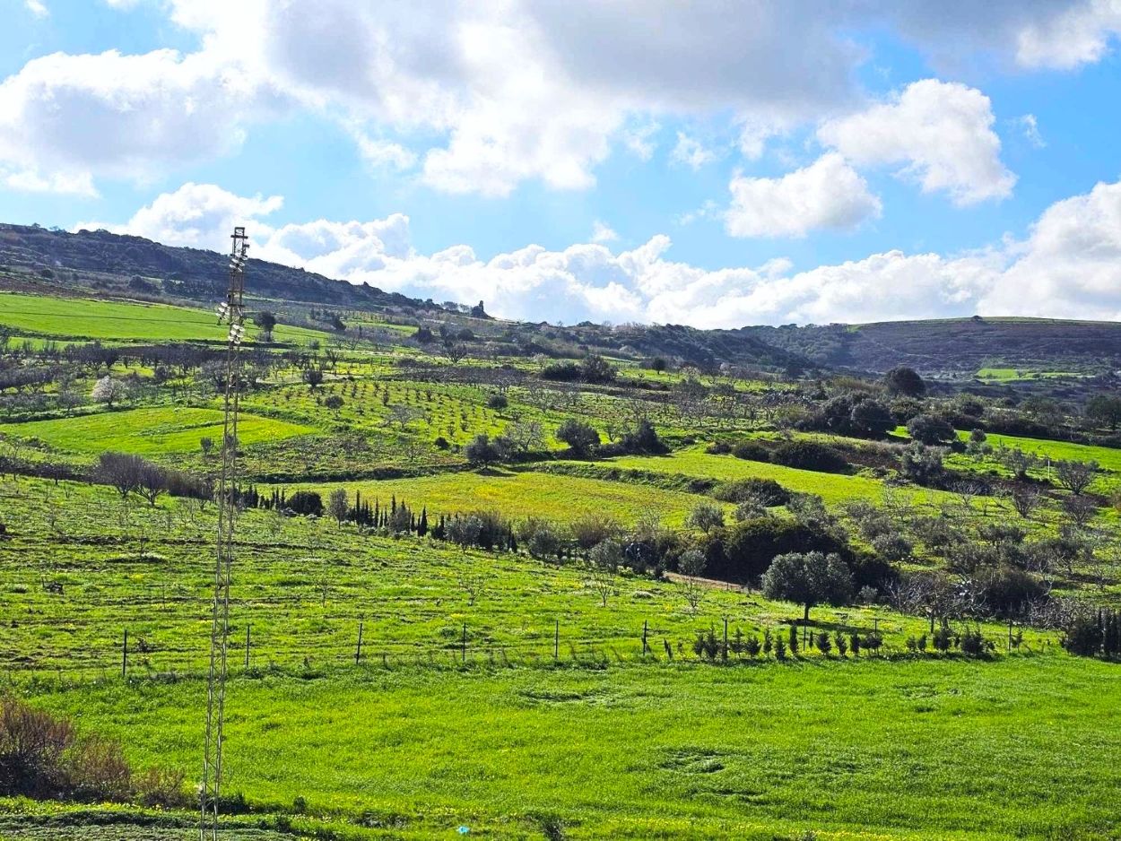 Ras Jebel&nbsp;Rafraf&nbsp;Terrain&nbsp;Terrain agricole&nbsp;Terrain 1 hect a rafraf
