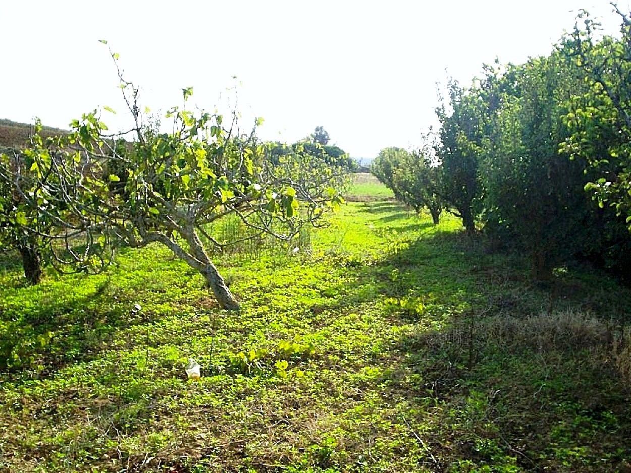 Terrain&nbsp;Terrain agricole