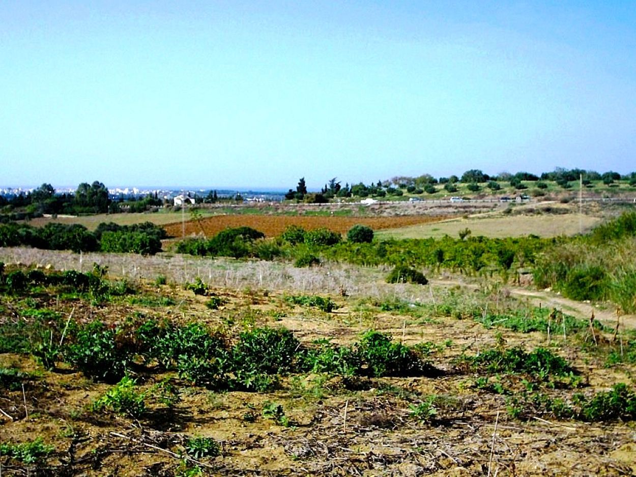 Ras Jebel&nbsp;Rafraf&nbsp;Terrain&nbsp;Terrain agricole&nbsp;Terrain 5300 m2 a rafraf