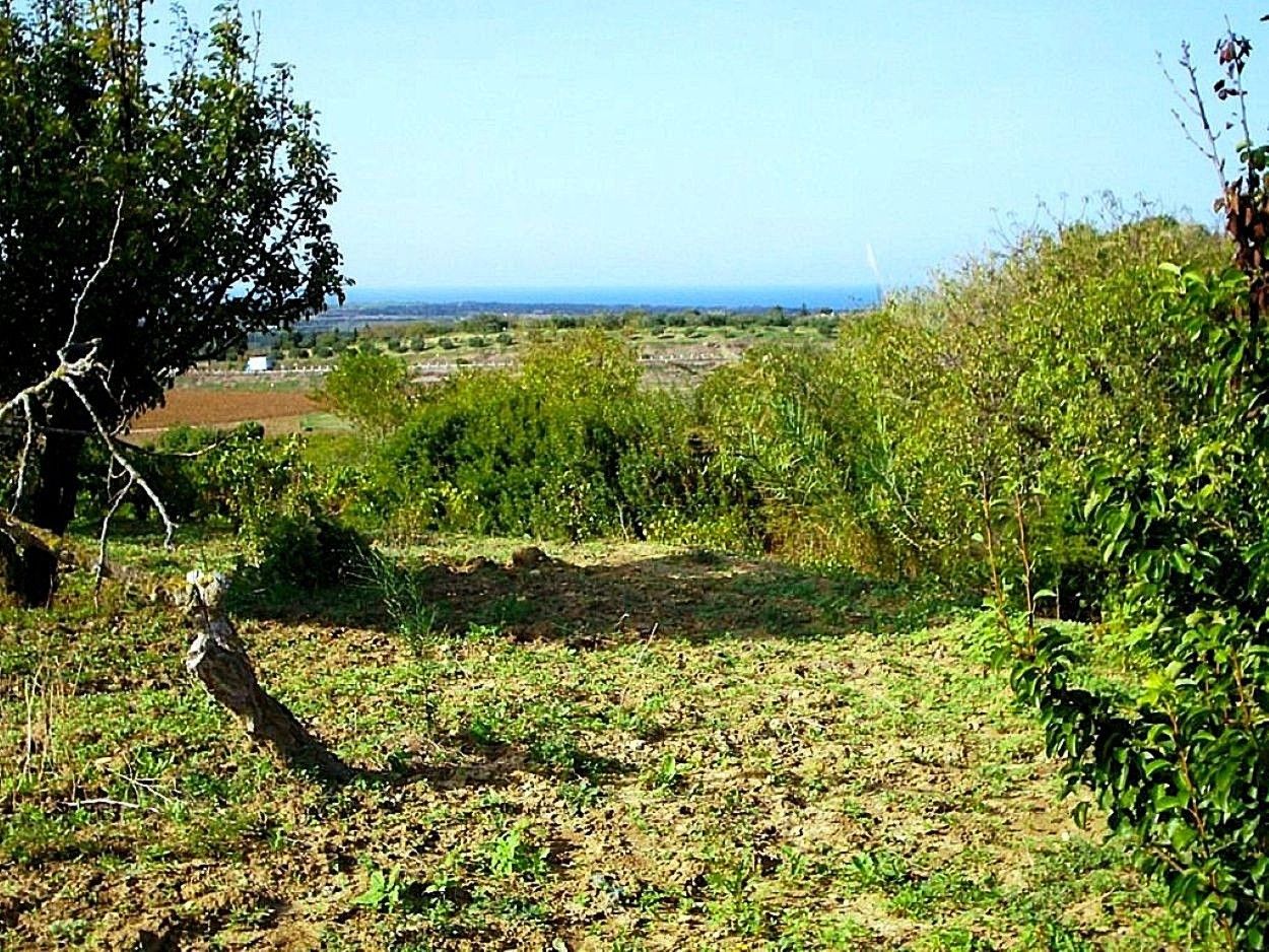 Ras Jebel&nbsp;Rafraf&nbsp;Terrain&nbsp;Terrain agricole&nbsp;Terrain 5300 m2 a rafraf