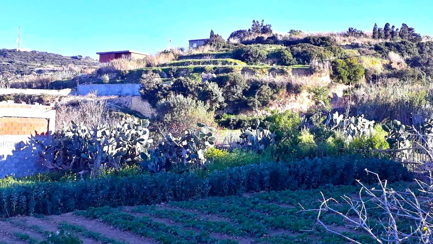 Ras Jebel&nbsp;Rafraf&nbsp;Terrain&nbsp;Terrain nu&nbsp;Terrain 1500 m2 a rafraf